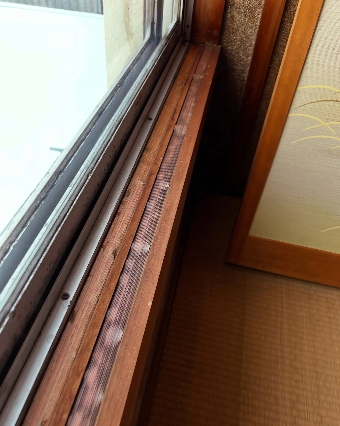 【敷居テープの貼り替え施工】