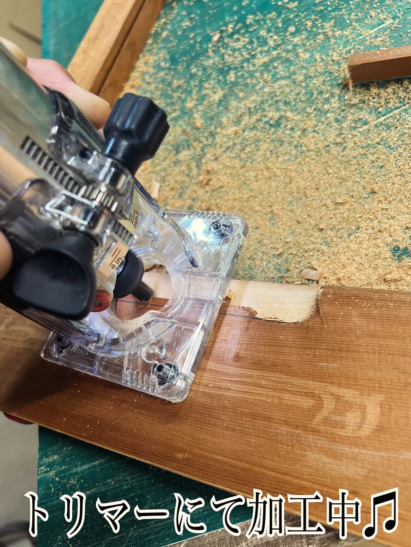 【ワンちゃんも快適♪ 安心＆静かな和室リフォーム🐾】