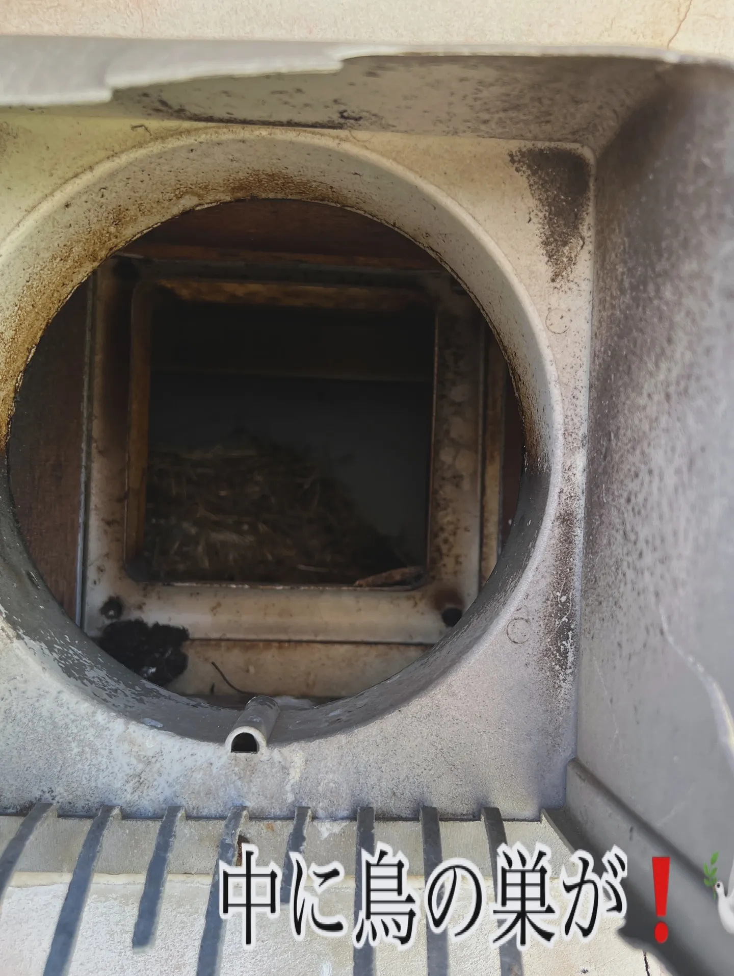 🛠【換気フードの交換工事】🛠