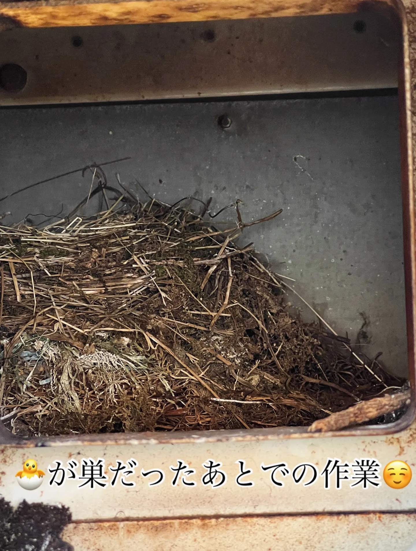 🛠【換気フードの交換工事】🛠