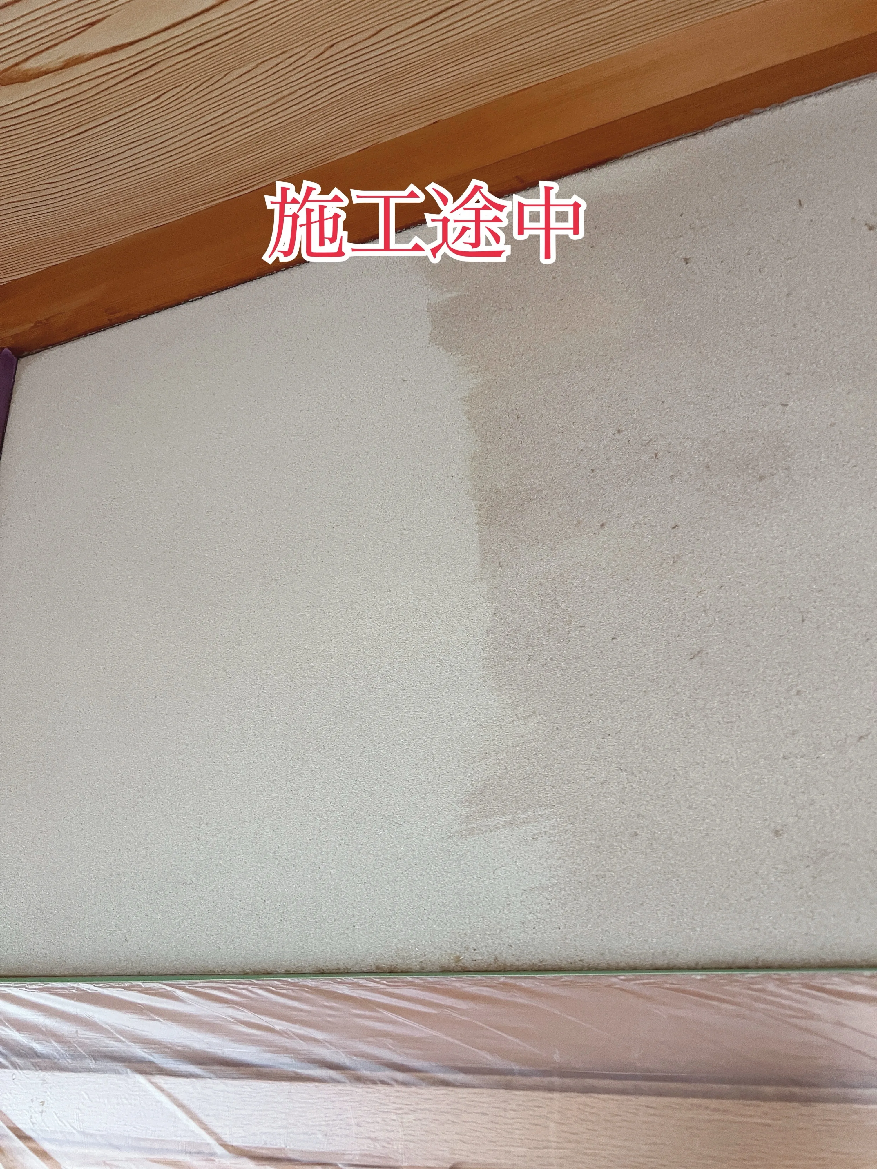 砂壁のカビ取り美装&畳新設