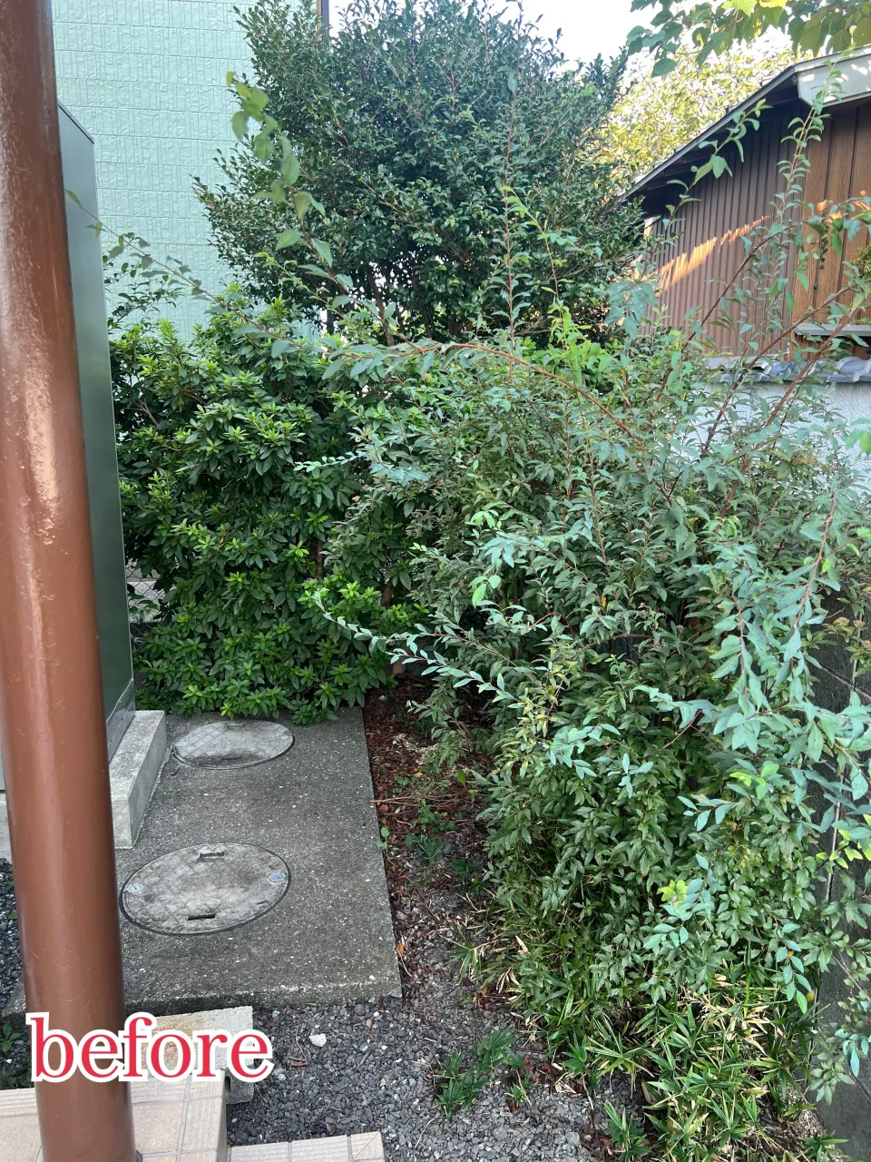 🌳庭木の伐採・抜根作業🌳