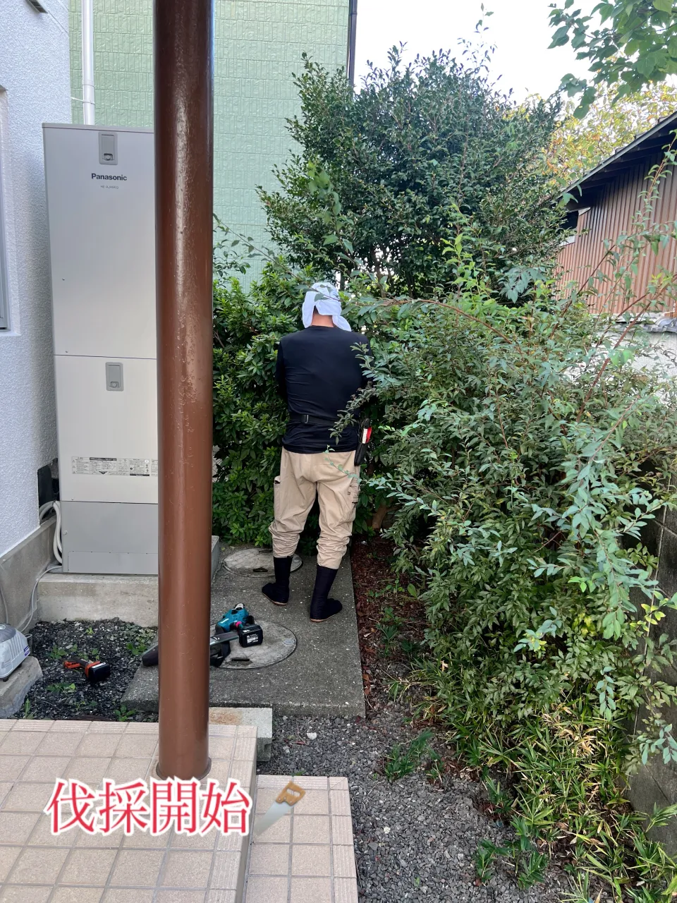 🌳庭木の伐採・抜根作業🌳