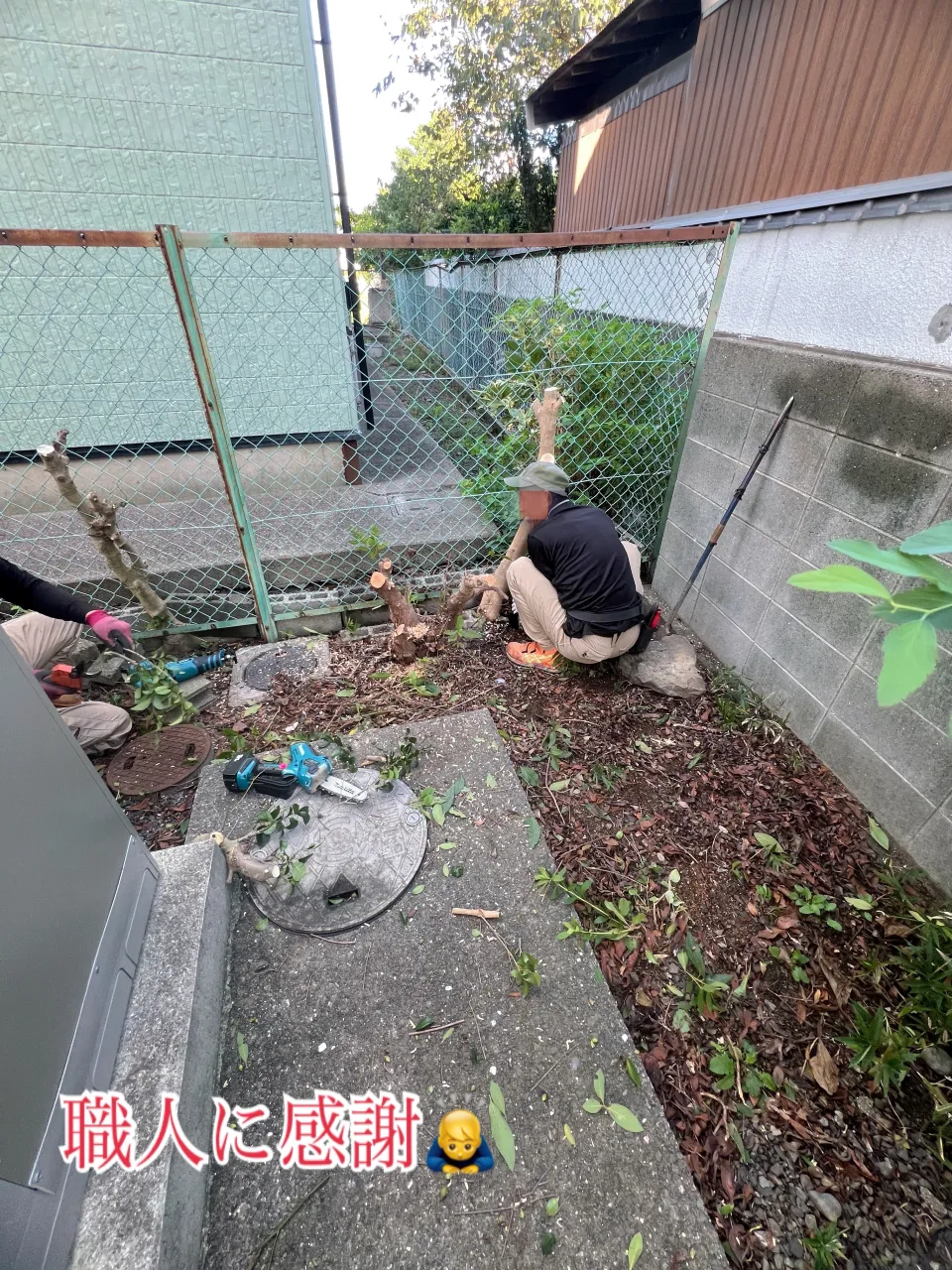 🌳庭木の伐採・抜根作業🌳